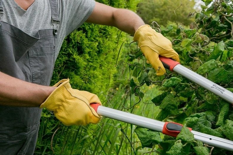 Town & Country Deluxe Extra Soft Leather Glove - Large 4 Town & Country Deluxe Extra Soft Leather Glove - Large - Image 2