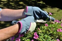 ClipGlove Stretch Fit Gloves Female -Outdoor Garden 44775 5704