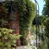 Tom Chambers Eden Garden Arch -Outdoor Garden 48120 38780