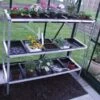 Halls Greenhouses Seed Tray 3 Tier X 15 Trays -Outdoor Garden 48338 38282