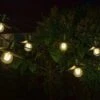 Smart Garden Vivo 365 String Lights - Set Of 8 -Outdoor Garden 50725 31886