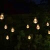 Smart Garden Festoon Lights - Set Of 20 -Outdoor Garden 50736 31852