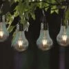 Smart Garden Eureka! Retro Lightbulb, 4 Pack 1 Smart Garden Eureka! Retro Lightbulb, 4 Pack -Outdoor Garden 50895 31443