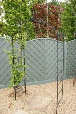 Poppy Forge Arcadia Arch