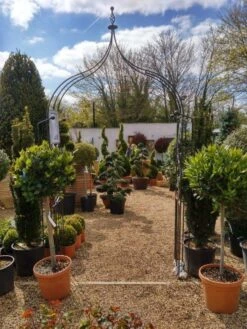 Poppy Forge Flower Arch Ogee