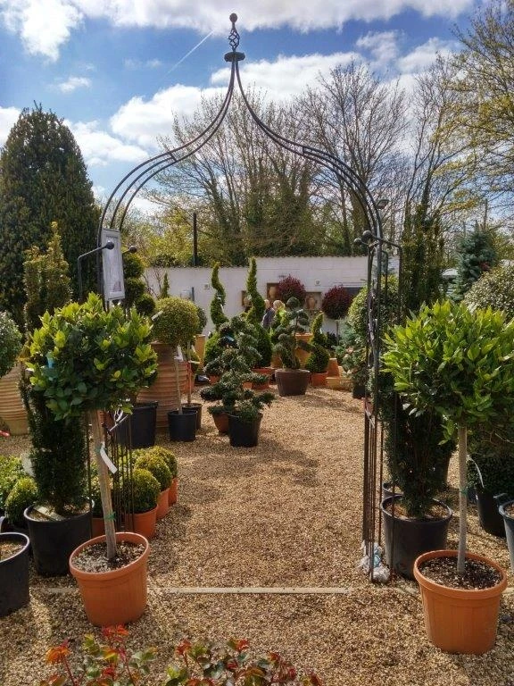 Poppy Forge Flower Arch Ogee 3 Poppy Forge Flower Arch Ogee