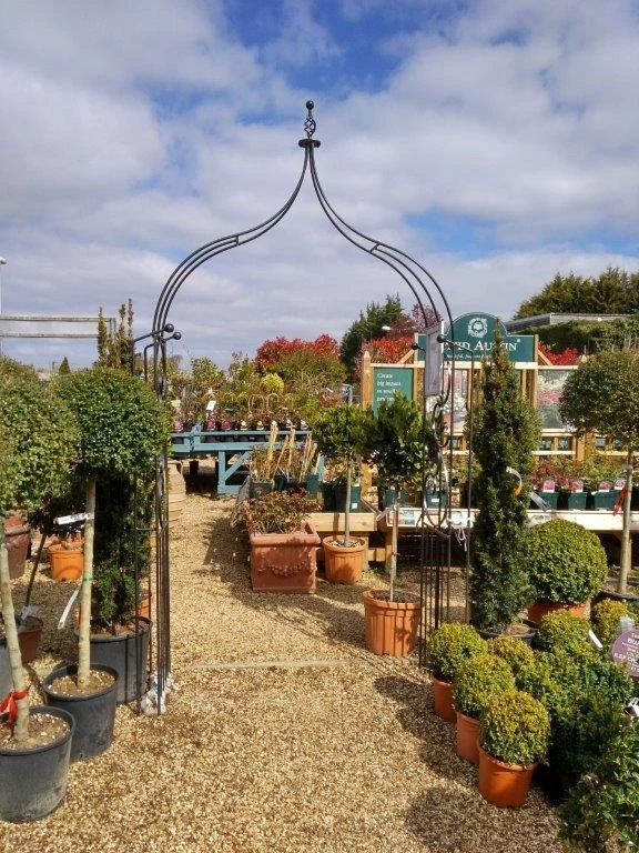 Poppy Forge Flower Arch Ogee 5 Poppy Forge Flower Arch Ogee - Image 3