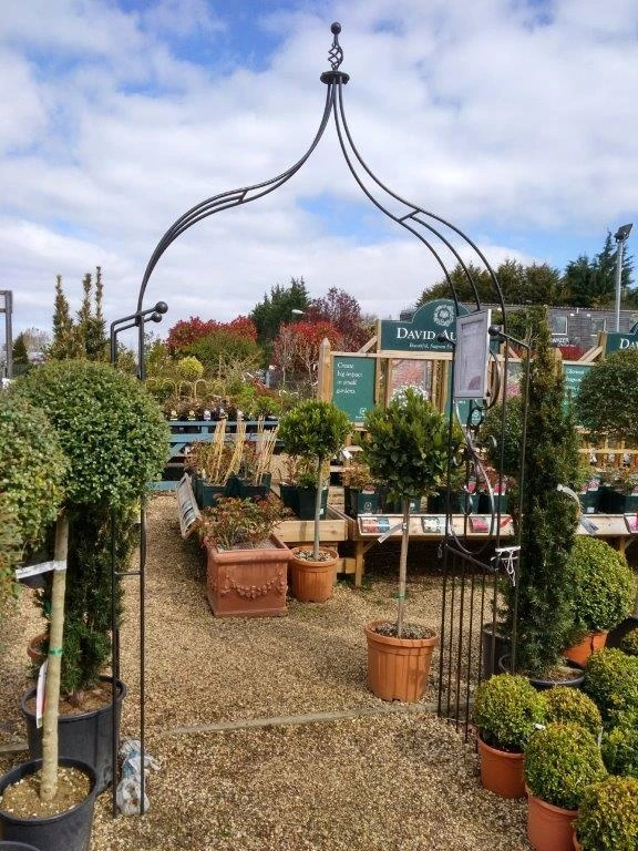 Poppy Forge Flower Arch Ogee 4 Poppy Forge Flower Arch Ogee - Image 2