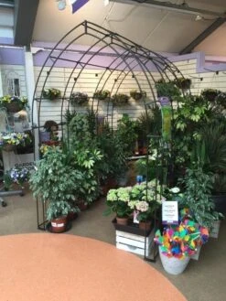 Poppy Forge Gothic Tunnel -Outdoor Garden 53258 26528