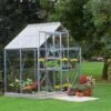 Halls Greenhouses Popular 2 Halls Greenhouses Popular -Outdoor Garden 53451 26017