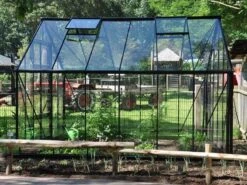 Halls Greenhouses Bourton