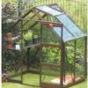 Elite Craftsman Greenhouse 2 Elite Craftsman Greenhouse -Outdoor Garden 7581 164